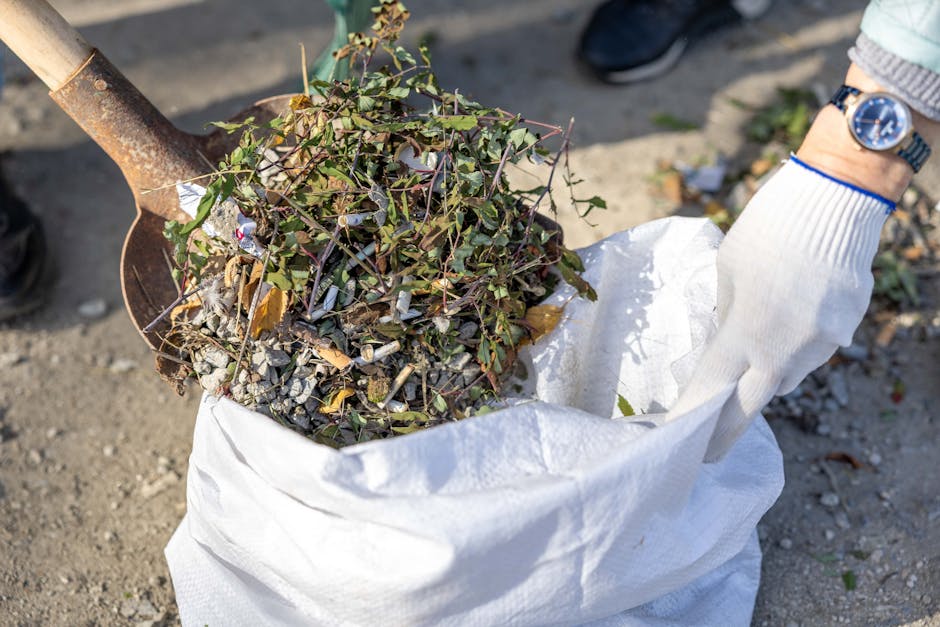 A person wearing a white work glove is holding a large white sack filled with garden debris and small pieces of gravel, situated on an outdoor ground surface composed of dirt and gravel. The debris includes green ivy-like plant cuttings, dried leaves, and small twigs, which are piled loosely inside the sack. Part of a rusty shovel with a wooden handle is visible in the background, suggesting active site clearance or waste collection. The environment appears to be an outdoor area possibly near a garden or driveway. The entire scene reflects a typical waste removal process involving manual collection of garden waste, consistent with private rubbish or garden clearance services provided by Rubbish Removal Ealing. Natural daylight illuminates the scene, highlighting the textures of the plant material and the rough surface of the ground.